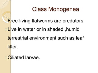 Class Monogenea
Free-living flatworms are predators.
Live in water or in shaded ,humid
terrestrial environment such as leaf
litter.
Ciliated larvae.
 