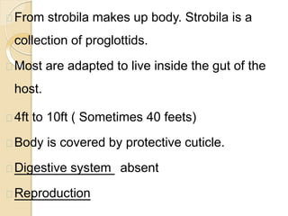 From strobila makes up body. Strobila is a
collection of proglottids.
Most are adapted to live inside the gut of the
host.
4ft to 10ft ( Sometimes 40 feets)
Body is covered by protective cuticle.
Digestive system absent
Reproduction
 