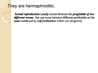 They are hermaphroditic.
 