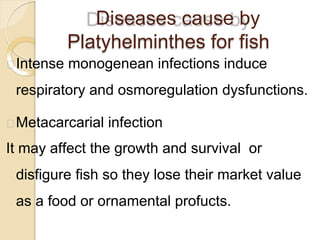 Diseases cause by
Platyhelminthes for fish
Intense monogenean infections induce
respiratory and osmoregulation dysfunctions.
Metacarcarial infection
It may affect the growth and survival or
disfigure fish so they lose their market value
as a food or ornamental profucts.
 