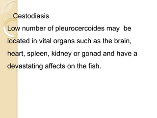 Cestodiasis
Low number of pleurocercoides may be
located in vital organs such as the brain,
heart, spleen, kidney or gonad and have a
devastating affects on the fish.
 