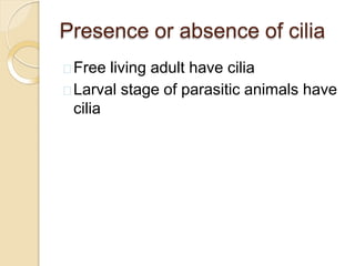 Presence or absence of cilia
Free living adult have cilia
Larval stage of parasitic animals have
cilia
 