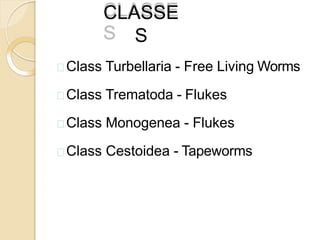 CLASSE
S
Class Turbellaria - Free Living Worms
Class Trematoda - Flukes
Class Monogenea - Flukes
Class Cestoidea - Tapeworms
 
