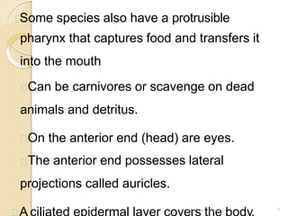 Some species also have a protrusible
pharynx that captures food and transfers it
into the mouth
Can be carnivores or scavenge on dead
animals and detritus.
On the anterior end (head) are eyes.
The anterior end possesses lateral
projections called auricles.
Phylum Platyhelminthes 8
 