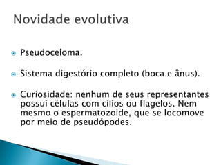  Pseudoceloma.
 Sistema digestório completo (boca e ânus).
 Curiosidade: nenhum de seus representantes
possui células com cílios ou flagelos. Nem
mesmo o espermatozoide, que se locomove
por meio de pseudópodes.
 