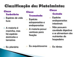 Classe
Turbelária
 Espécies de vida
livre
 A maioria é
marinha, mas
há espécies
dulcícolas e
terrestres
 Ex: planária
Classe
Trematoda
 Espécies
ectoparasitas e
endoparasitas
 A maioria possui
ventosas para
fixação
 Ex: esquistossomo
Classe
Cestoda
 Espécies
endoparasitas
intestinais
 Não possuem
cavidade digestiva
e se alimentam dos
nutrientes do
hospedeiro
 Ex: tênias
 