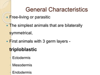 Phylum Platyhelminthes Examples In Hindi