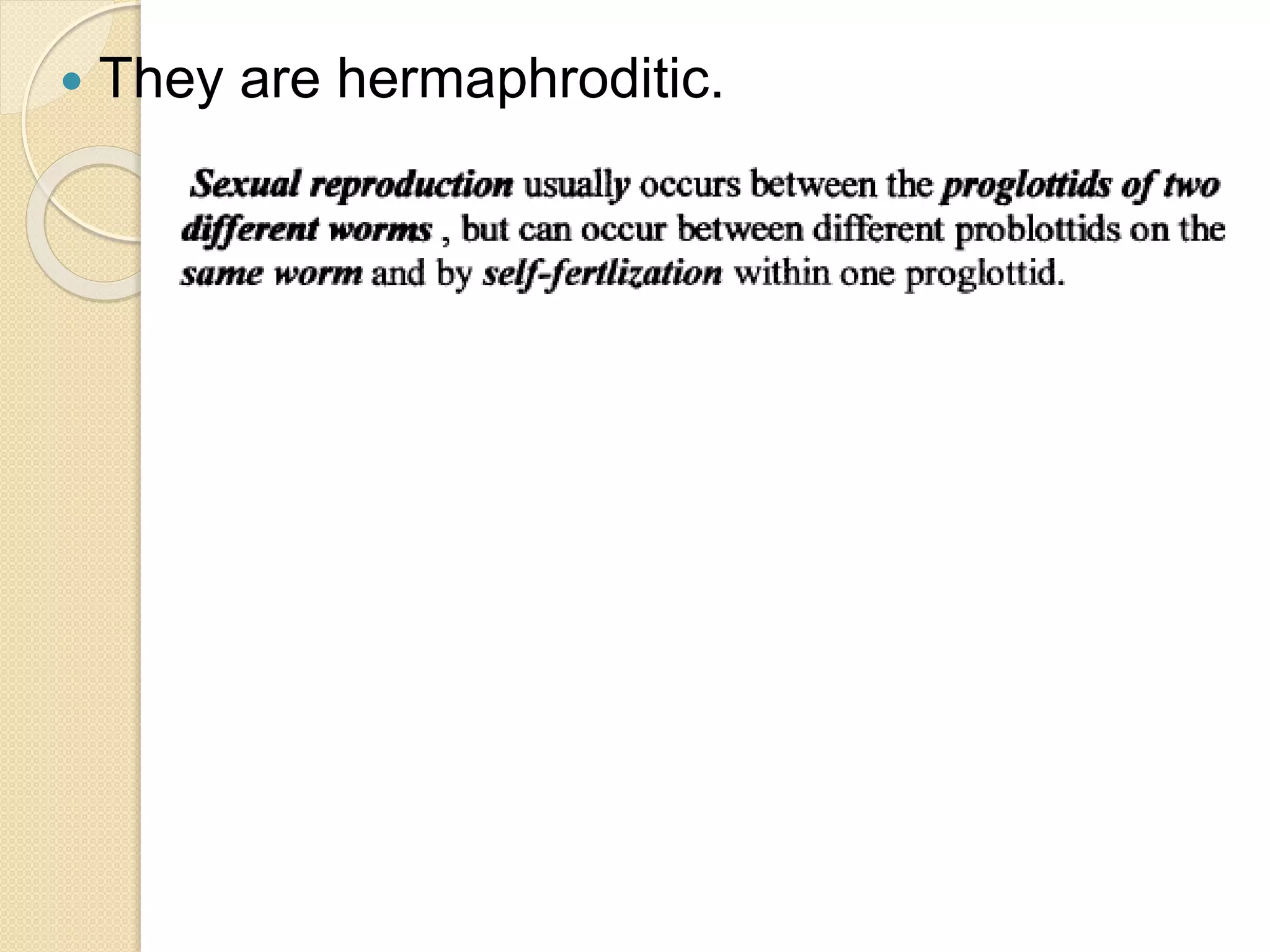  They are hermaphroditic.
 