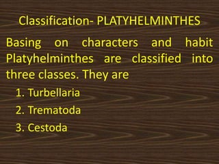 Classification- PLATYHELMINTHES
Basing on characters and habit
Platyhelminthes are classified into
three classes. They are
1. Turbellaria
2. Trematoda
3. Cestoda
 