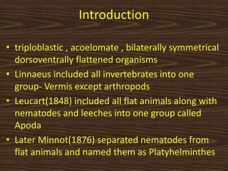 Introduction
• triploblastic , acoelomate , bilaterally symmetrical
dorsoventrally flattened organisms
• Linnaeus included all invertebrates into one
group- Vermis except arthropods
• Leucart(1848) included all flat animals along with
nematodes and leeches into one group called
Apoda
• Later Minnot(1876) separated nematodes from
flat animals and named them as Platyhelminthes
 