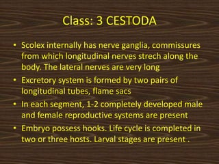 Class: 3 CESTODA
• Scolex internally has nerve ganglia, commissures
from which longitudinal nerves strech along the
body. The lateral nerves are very long
• Excretory system is formed by two pairs of
longitudinal tubes, flame sacs
• In each segment, 1-2 completely developed male
and female reproductive systems are present
• Embryo possess hooks. Life cycle is completed in
two or three hosts. Larval stages are present .
 