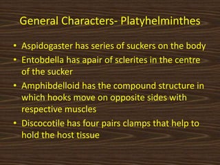General Characters- Platyhelminthes
• Aspidogaster has series of suckers on the body
• Entobdella has apair of sclerites in the centre
of the sucker
• Amphibdelloid has the compound structure in
which hooks move on opposite sides with
respective muscles
• Discocotile has four pairs clamps that help to
hold the host tissue
 