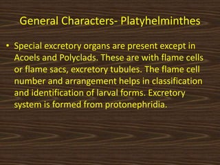 General Characters- Platyhelminthes
• Special excretory organs are present except in
Acoels and Polyclads. These are with flame cells
or flame sacs, excretory tubules. The flame cell
number and arrangement helps in classification
and identification of larval forms. Excretory
system is formed from protonephridia.
 