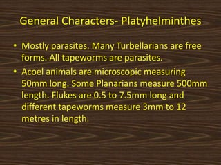General Characters- Platyhelminthes
• Mostly parasites. Many Turbellarians are free
forms. All tapeworms are parasites.
• Acoel animals are microscopic measuring
50mm long. Some Planarians measure 500mm
length. Flukes are 0.5 to 7.5mm long and
different tapeworms measure 3mm to 12
metres in length.
 