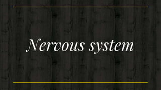 Nervous system
 