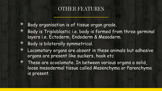 OTHER FEATURES
◈ Body organisation is of tissue organ grade.
◈ Body is Triploblastic i.e. body is formed from three germinal
layers i.e. Ectoderm, Endoderm & Mesoderm.
◈ Body is bilaterally symmetrical.
◈ Locomotary organs are absent in these animals but adhesive
organs are present like suckers, hook etc
◈ These are acoelomate. In between various organs a solid,
loose mesodermal tissue called Mesenchyma or Parenchyma
is present.
 
