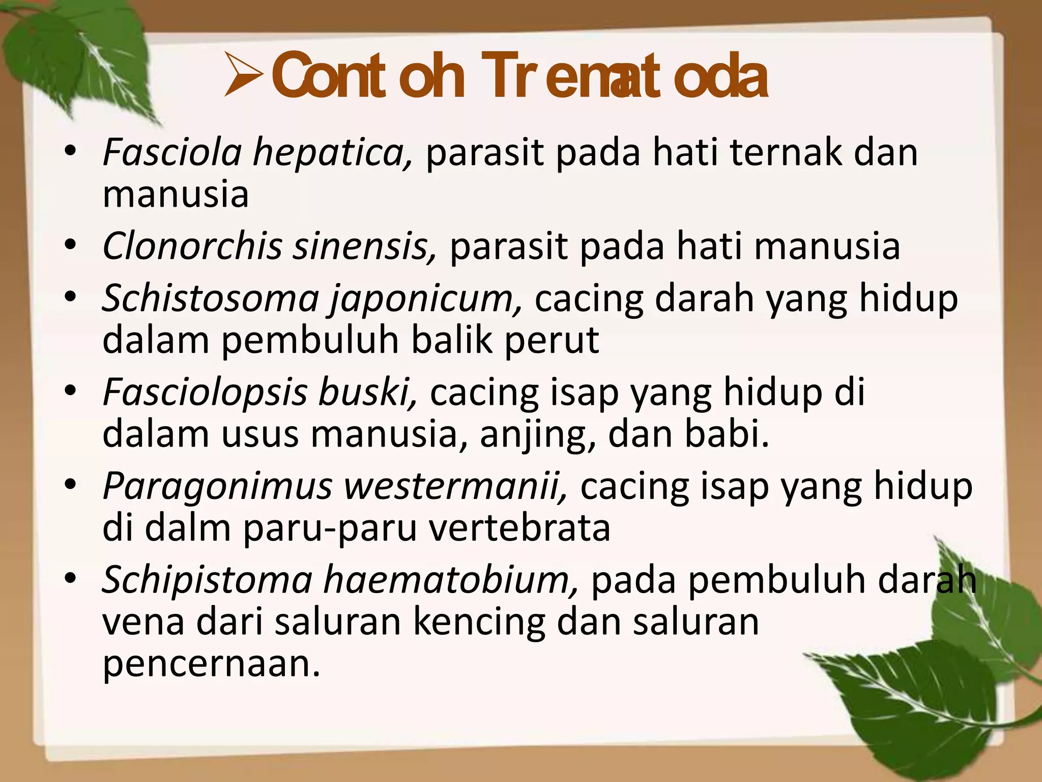 C oh Tr em oda
          ont      at
• Fasciola hepatica, parasit pada hati ternak dan
  manusia
• Clonorchis sinensis, parasit pada hati manusia
• Schistosoma japonicum, cacing darah yang hidup
  dalam pembuluh balik perut
• Fasciolopsis buski, cacing isap yang hidup di
  dalam usus manusia, anjing, dan babi.
• Paragonimus westermanii, cacing isap yang hidup
  di dalm paru-paru vertebrata
• Schipistoma haematobium, pada pembuluh darah
  vena dari saluran kencing dan saluran
  pencernaan.
 