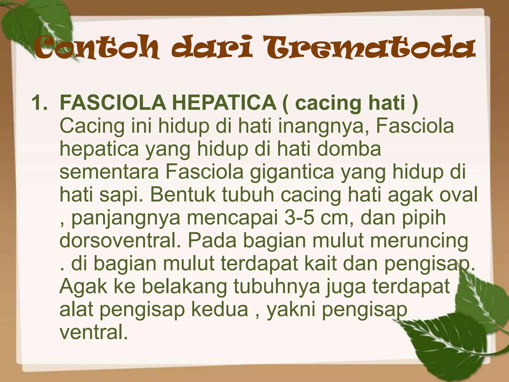 Contoh dari Trematoda
1. FASCIOLA HEPATICA ( cacing hati )
   Cacing ini hidup di hati inangnya, Fasciola
   hepatica yang hidup di hati domba
   sementara Fasciola gigantica yang hidup di
   hati sapi. Bentuk tubuh cacing hati agak oval
   , panjangnya mencapai 3-5 cm, dan pipih
   dorsoventral. Pada bagian mulut meruncing
   . di bagian mulut terdapat kait dan pengisap.
   Agak ke belakang tubuhnya juga terdapat
   alat pengisap kedua , yakni pengisap
   ventral.
 