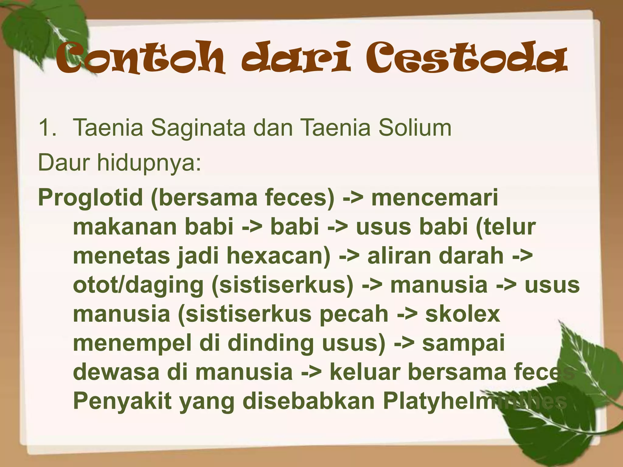Contoh dari Cestoda
1. Taenia Saginata dan Taenia Solium
Daur hidupnya:
Proglotid (bersama feces) -> mencemari
   makanan babi -> babi -> usus babi (telur
   menetas jadi hexacan) -> aliran darah ->
   otot/daging (sistiserkus) -> manusia -> usus
   manusia (sistiserkus pecah -> skolex
   menempel di dinding usus) -> sampai
   dewasa di manusia -> keluar bersama feces
   Penyakit yang disebabkan Platyhelminthes
 