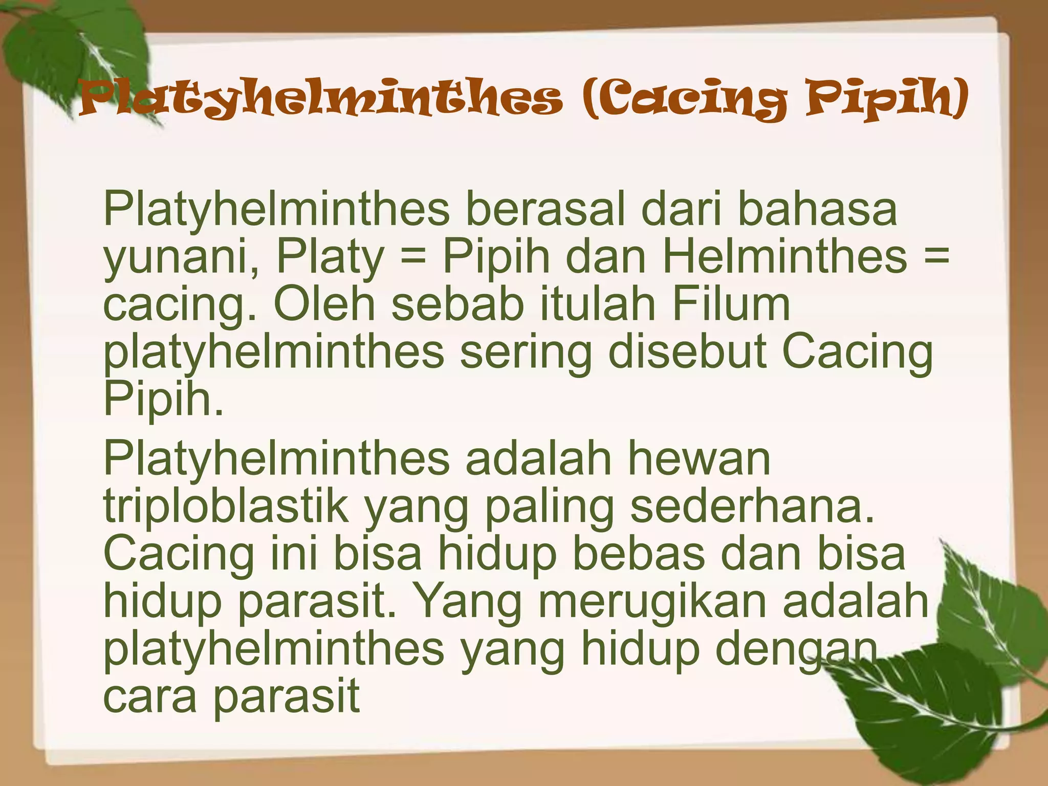 Platyhelminthes (Cacing Pipih)

Platyhelminthes berasal dari bahasa
yunani, Platy = Pipih dan Helminthes =
cacing. Oleh sebab itulah Filum
platyhelminthes sering disebut Cacing
Pipih.
Platyhelminthes adalah hewan
triploblastik yang paling sederhana.
Cacing ini bisa hidup bebas dan bisa
hidup parasit. Yang merugikan adalah
platyhelminthes yang hidup dengan
cara parasit
 