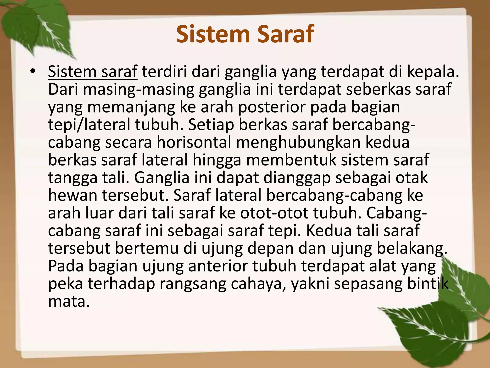 Sistem Saraf
• Sistem saraf terdiri dari ganglia yang terdapat di kepala.
  Dari masing-masing ganglia ini terdapat seberkas saraf
  yang memanjang ke arah posterior pada bagian
  tepi/lateral tubuh. Setiap berkas saraf bercabang-
  cabang secara horisontal menghubungkan kedua
  berkas saraf lateral hingga membentuk sistem saraf
  tangga tali. Ganglia ini dapat dianggap sebagai otak
  hewan tersebut. Saraf lateral bercabang-cabang ke
  arah luar dari tali saraf ke otot-otot tubuh. Cabang-
  cabang saraf ini sebagai saraf tepi. Kedua tali saraf
  tersebut bertemu di ujung depan dan ujung belakang.
  Pada bagian ujung anterior tubuh terdapat alat yang
  peka terhadap rangsang cahaya, yakni sepasang bintik
  mata.
 