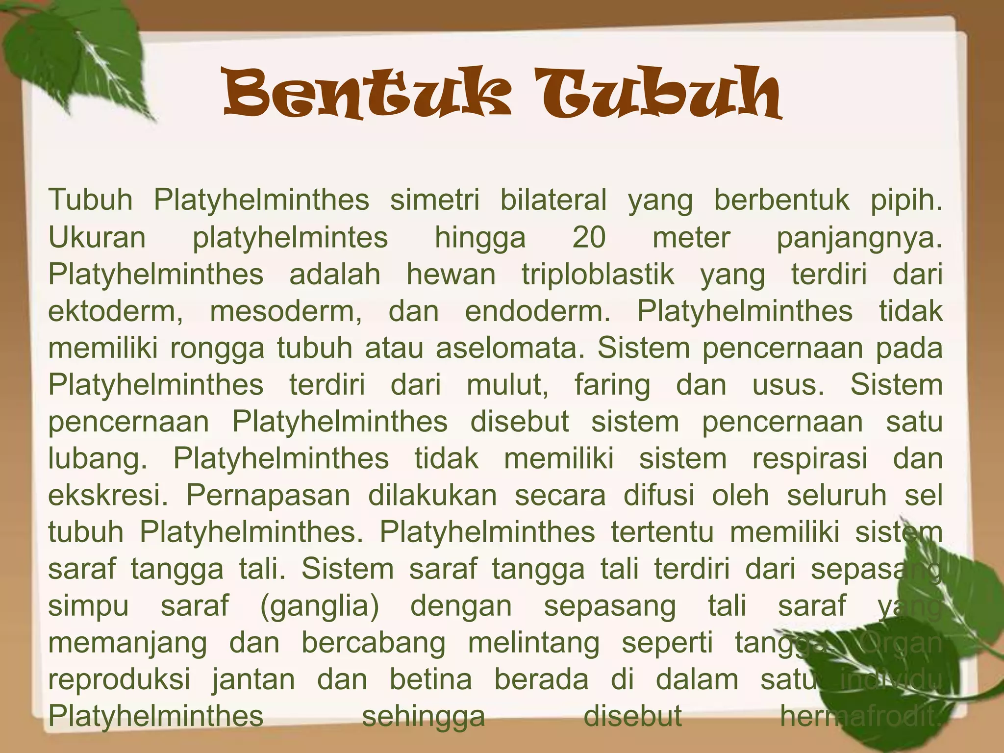 Bentuk Tubuh
Tubuh Platyhelminthes simetri bilateral yang berbentuk pipih.
Ukuran platyhelmintes hingga 20 meter panjangnya.
Platyhelminthes adalah hewan triploblastik yang terdiri dari
ektoderm, mesoderm, dan endoderm. Platyhelminthes tidak
memiliki rongga tubuh atau aselomata. Sistem pencernaan pada
Platyhelminthes terdiri dari mulut, faring dan usus. Sistem
pencernaan Platyhelminthes disebut sistem pencernaan satu
lubang. Platyhelminthes tidak memiliki sistem respirasi dan
ekskresi. Pernapasan dilakukan secara difusi oleh seluruh sel
tubuh Platyhelminthes. Platyhelminthes tertentu memiliki sistem
saraf tangga tali. Sistem saraf tangga tali terdiri dari sepasang
simpu saraf (ganglia) dengan sepasang tali saraf yang
memanjang dan bercabang melintang seperti tangga. Organ
reproduksi jantan dan betina berada di dalam satu individu
Platyhelminthes         sehingga      disebut         hermafrodit.
 