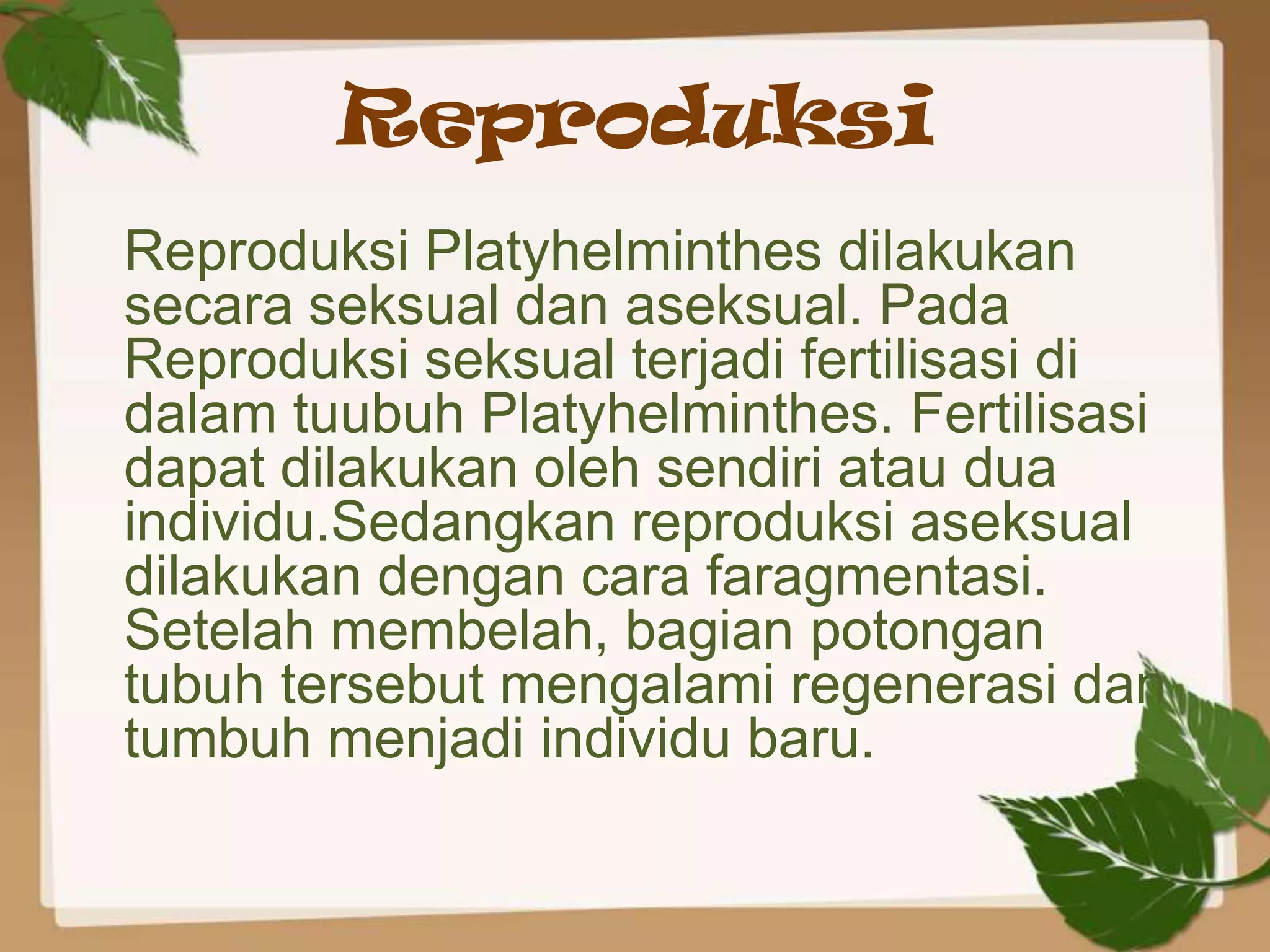 Reproduksi
Reproduksi Platyhelminthes dilakukan
secara seksual dan aseksual. Pada
Reproduksi seksual terjadi fertilisasi di
dalam tuubuh Platyhelminthes. Fertilisasi
dapat dilakukan oleh sendiri atau dua
individu.Sedangkan reproduksi aseksual
dilakukan dengan cara faragmentasi.
Setelah membelah, bagian potongan
tubuh tersebut mengalami regenerasi dan
tumbuh menjadi individu baru.
 