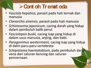 C oh Tr em oda
          ont      at
• Fasciola hepatica, parasit pada hati ternak dan
  manusia
• Clonorchis sinensis, p...