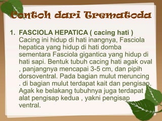 Contoh dari Trematoda
1. FASCIOLA HEPATICA ( cacing hati )
   Cacing ini hidup di hati inangnya, Fasciola
   hepatica yang hidup di hati domba
   sementara Fasciola gigantica yang hidup di
   hati sapi. Bentuk tubuh cacing hati agak oval
   , panjangnya mencapai 3-5 cm, dan pipih
   dorsoventral. Pada bagian mulut meruncing
   . di bagian mulut terdapat kait dan pengisap.
   Agak ke belakang tubuhnya juga terdapat
   alat pengisap kedua , yakni pengisap
   ventral.
 