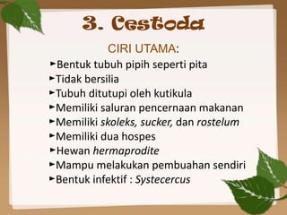 3. Cestoda
            CIRI UTAMA:
►Bentuk tubuh pipih seperti pita
►Tidak bersilia
►Tubuh ditutupi oleh kutikula
►Memilik...