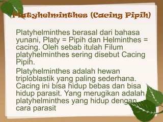 Platyhelminthes (Cacing Pipih)

Platyhelminthes berasal dari bahasa
yunani, Platy = Pipih dan Helminthes =
cacing. Oleh se...