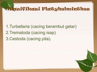 Klasifikasi Platyhelminthes



1.Turbellaria (cacing berambut getar)
2.Trematoda (cacing isap)
3.Cestoda (cacing pita).
 
