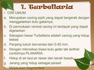 1. Turbellaria
• CIRI UMUM
a. Merupakan cacing pipih yang dapat bergerak dengan
   menggetarkan bulu gatarnya.
b. Di permukaan ventral cacing ini terdapat yang dapat
   digetarkan
c. Sebagian besar Turbellaria adalah cacing yang hidup
   bebas
d. Panjang tubuh bervariasi dari 5-50 mm.
e. Dengan mikroskop biasa bulu getar tak terlihat
   contohnya PLANARIA.
f. Hidup di air laut,air tawar dan tanah basah.
g. Jarang yang hidup sebagai parasit
h. Melakukan fragmentasi
 