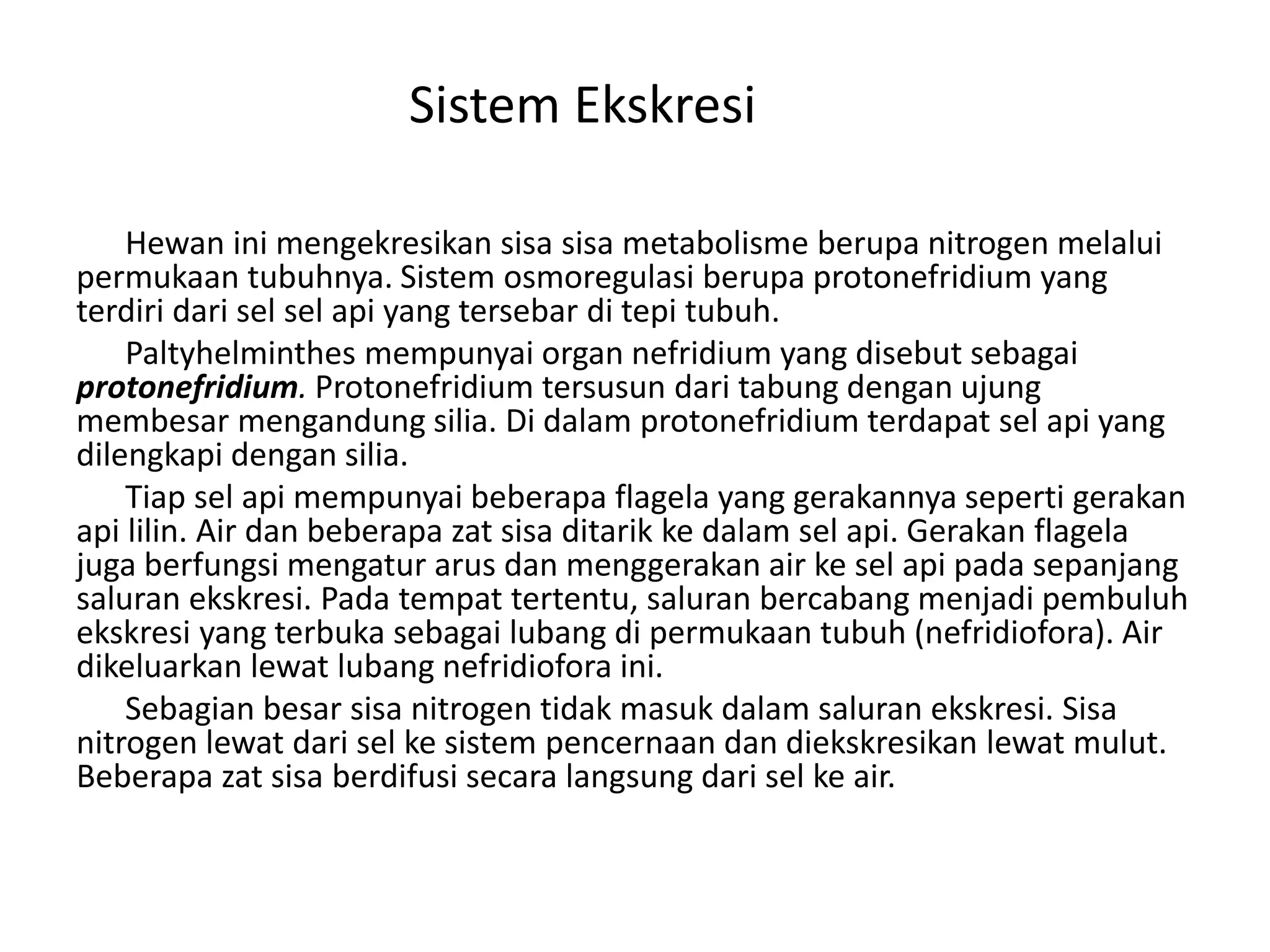 Sistem Ekskresi
Hewan ini mengekresikan sisa sisa metabolisme berupa nitrogen melalui
permukaan tubuhnya. Sistem osmoregulasi berupa protonefridium yang
terdiri dari sel sel api yang tersebar di tepi tubuh.
Paltyhelminthes mempunyai organ nefridium yang disebut sebagai
protonefridium. Protonefridium tersusun dari tabung dengan ujung
membesar mengandung silia. Di dalam protonefridium terdapat sel api yang
dilengkapi dengan silia.
Tiap sel api mempunyai beberapa flagela yang gerakannya seperti gerakan
api lilin. Air dan beberapa zat sisa ditarik ke dalam sel api. Gerakan flagela
juga berfungsi mengatur arus dan menggerakan air ke sel api pada sepanjang
saluran ekskresi. Pada tempat tertentu, saluran bercabang menjadi pembuluh
ekskresi yang terbuka sebagai lubang di permukaan tubuh (nefridiofora). Air
dikeluarkan lewat lubang nefridiofora ini.
Sebagian besar sisa nitrogen tidak masuk dalam saluran ekskresi. Sisa
nitrogen lewat dari sel ke sistem pencernaan dan diekskresikan lewat mulut.
Beberapa zat sisa berdifusi secara langsung dari sel ke air.
 