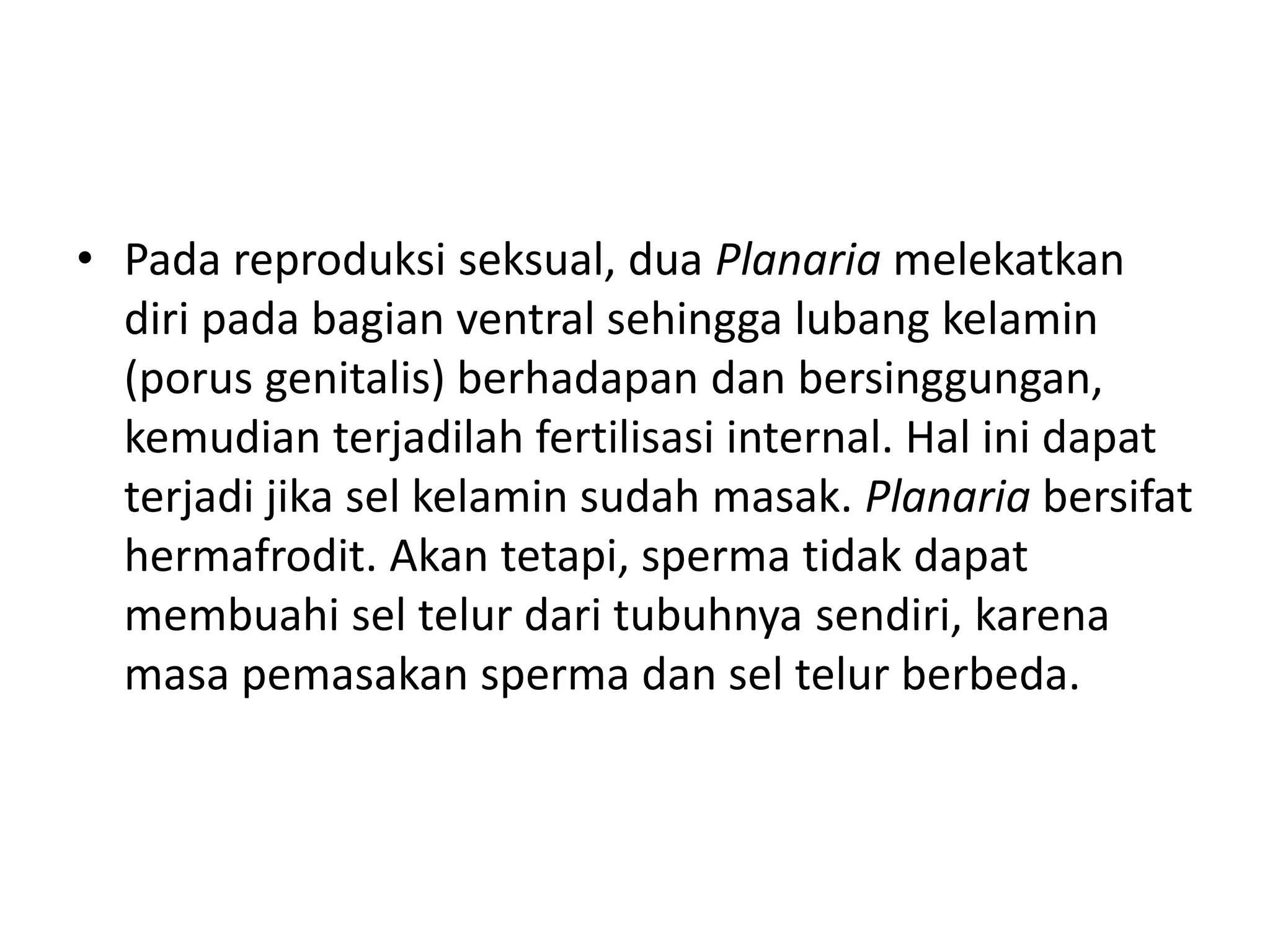 • Pada reproduksi seksual, dua Planaria melekatkan
diri pada bagian ventral sehingga lubang kelamin
(porus genitalis) berhadapan dan bersinggungan,
kemudian terjadilah fertilisasi internal. Hal ini dapat
terjadi jika sel kelamin sudah masak. Planaria bersifat
hermafrodit. Akan tetapi, sperma tidak dapat
membuahi sel telur dari tubuhnya sendiri, karena
masa pemasakan sperma dan sel telur berbeda.
 