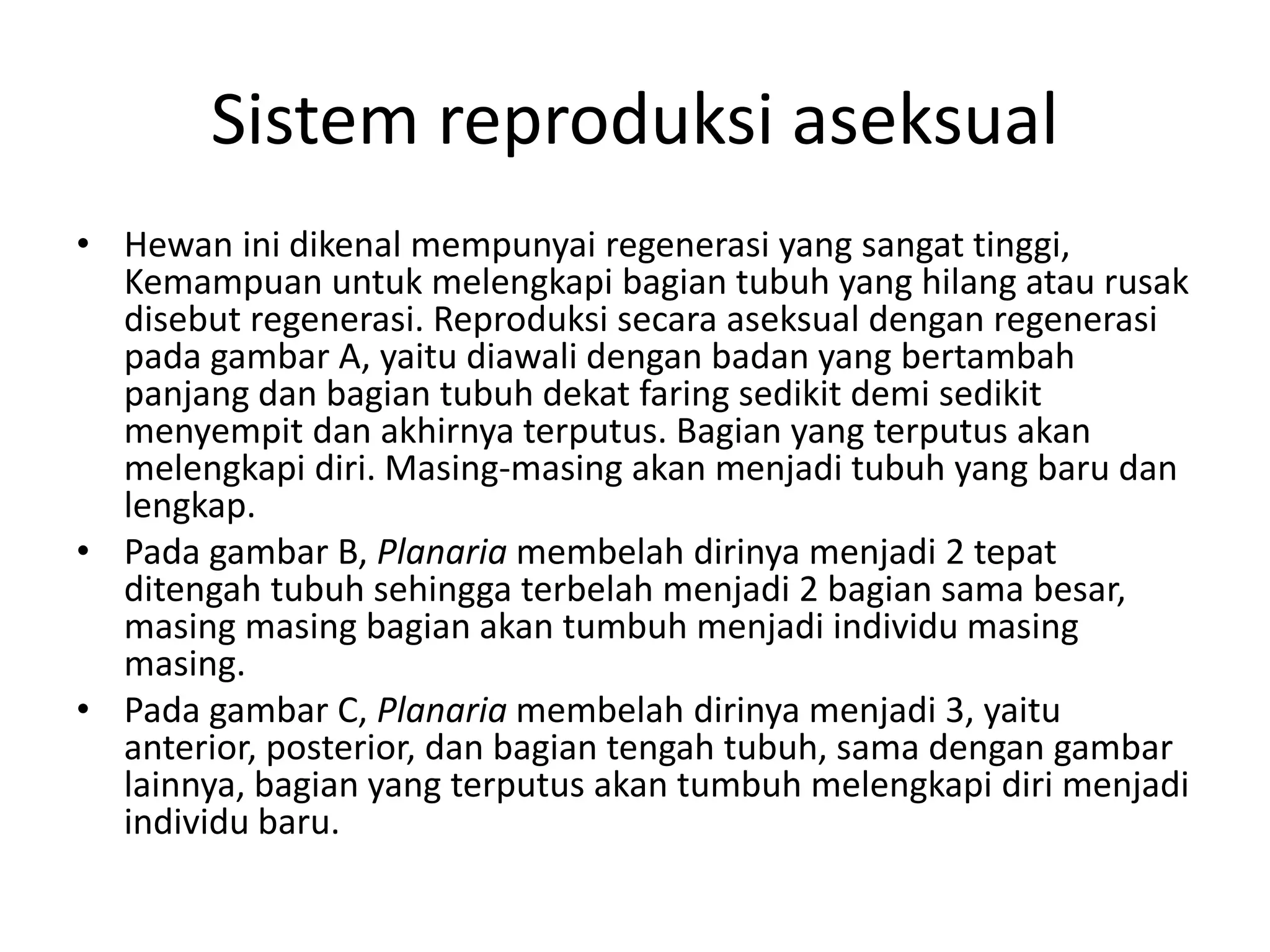 Sistem reproduksi aseksual
• Hewan ini dikenal mempunyai regenerasi yang sangat tinggi,
Kemampuan untuk melengkapi bagian tubuh yang hilang atau rusak
disebut regenerasi. Reproduksi secara aseksual dengan regenerasi
pada gambar A, yaitu diawali dengan badan yang bertambah
panjang dan bagian tubuh dekat faring sedikit demi sedikit
menyempit dan akhirnya terputus. Bagian yang terputus akan
melengkapi diri. Masing-masing akan menjadi tubuh yang baru dan
lengkap.
• Pada gambar B, Planaria membelah dirinya menjadi 2 tepat
ditengah tubuh sehingga terbelah menjadi 2 bagian sama besar,
masing masing bagian akan tumbuh menjadi individu masing
masing.
• Pada gambar C, Planaria membelah dirinya menjadi 3, yaitu
anterior, posterior, dan bagian tengah tubuh, sama dengan gambar
lainnya, bagian yang terputus akan tumbuh melengkapi diri menjadi
individu baru.
 