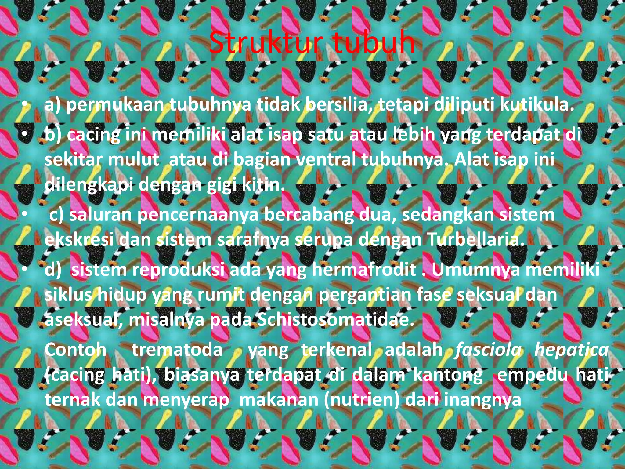 Struktur tubuh
• a) permukaan tubuhnya tidak bersilia, tetapi diliputi kutikula.
• b) cacing ini memiliki alat isap satu atau lebih yang terdapat di
sekitar mulut atau di bagian ventral tubuhnya. Alat isap ini
dilengkapi dengan gigi kitin.
• c) saluran pencernaanya bercabang dua, sedangkan sistem
ekskresi dan sistem sarafnya serupa dengan Turbellaria.
• d) sistem reproduksi ada yang hermafrodit . Umumnya memiliki
siklus hidup yang rumit dengan pergantian fase seksual dan
aseksual, misalnya pada Schistosomatidae.
Contoh trematoda yang terkenal adalah fasciola hepatica
(cacing hati), biasanya terdapat di dalam kantong empedu hati
ternak dan menyerap makanan (nutrien) dari inangnya
 