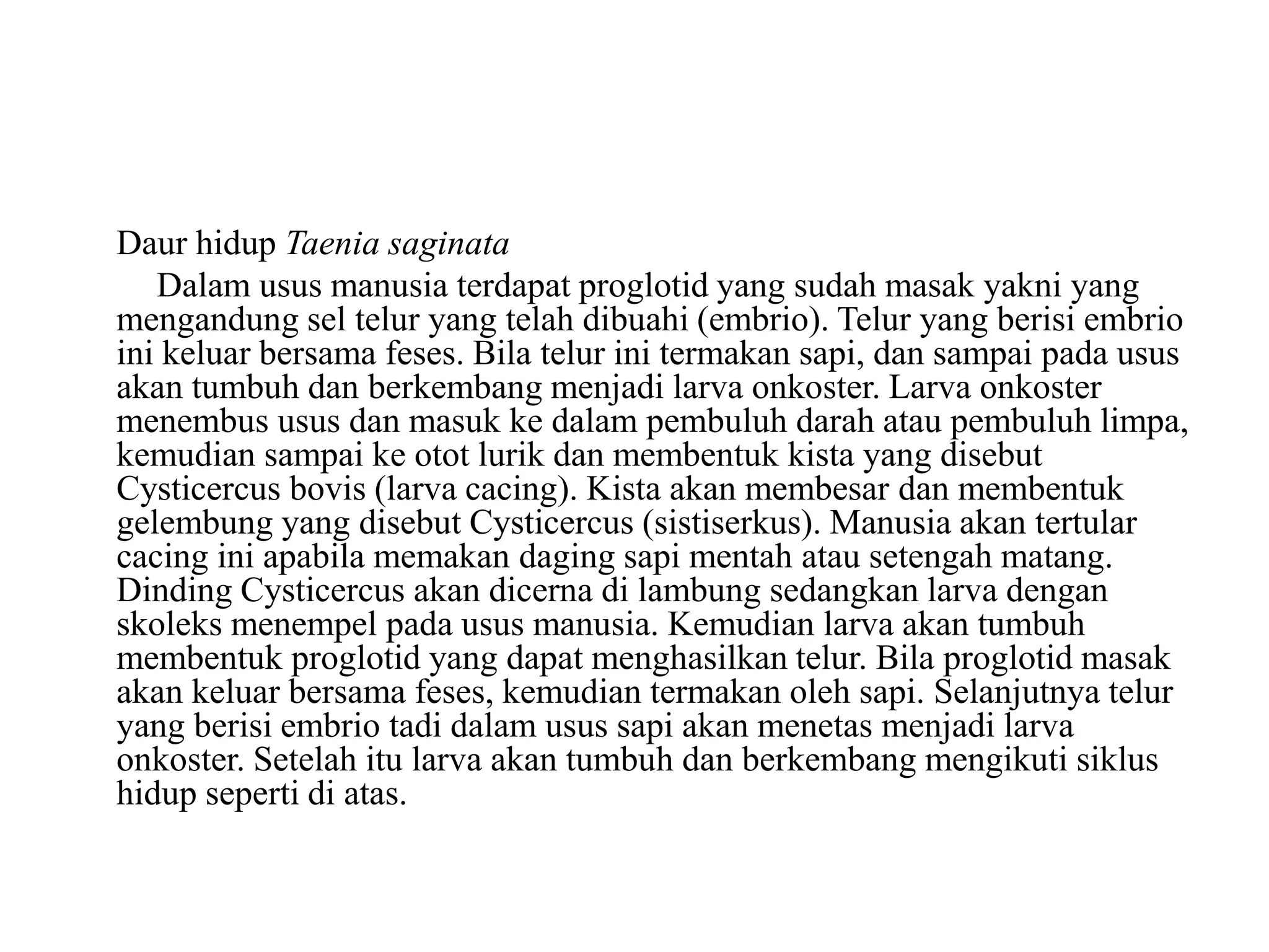 Daur hidup Taenia saginata
Dalam usus manusia terdapat proglotid yang sudah masak yakni yang
mengandung sel telur yang telah dibuahi (embrio). Telur yang berisi embrio
ini keluar bersama feses. Bila telur ini termakan sapi, dan sampai pada usus
akan tumbuh dan berkembang menjadi larva onkoster. Larva onkoster
menembus usus dan masuk ke dalam pembuluh darah atau pembuluh limpa,
kemudian sampai ke otot lurik dan membentuk kista yang disebut
Cysticercus bovis (larva cacing). Kista akan membesar dan membentuk
gelembung yang disebut Cysticercus (sistiserkus). Manusia akan tertular
cacing ini apabila memakan daging sapi mentah atau setengah matang.
Dinding Cysticercus akan dicerna di lambung sedangkan larva dengan
skoleks menempel pada usus manusia. Kemudian larva akan tumbuh
membentuk proglotid yang dapat menghasilkan telur. Bila proglotid masak
akan keluar bersama feses, kemudian termakan oleh sapi. Selanjutnya telur
yang berisi embrio tadi dalam usus sapi akan menetas menjadi larva
onkoster. Setelah itu larva akan tumbuh dan berkembang mengikuti siklus
hidup seperti di atas.
 