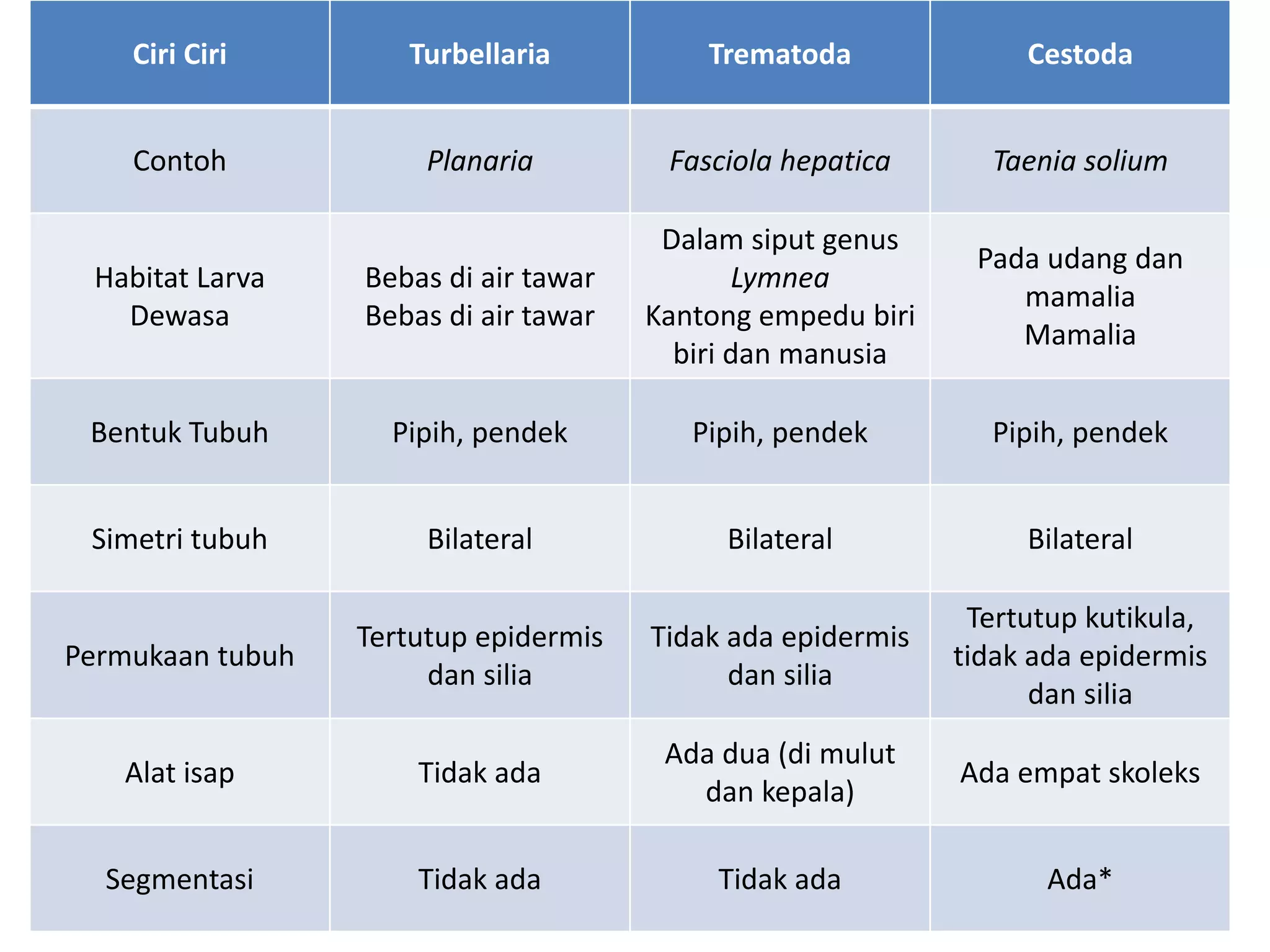 Ciri Ciri Turbellaria Trematoda Cestoda
Contoh Planaria Fasciola hepatica Taenia solium
Habitat Larva
Dewasa
Bebas di air tawar
Bebas di air tawar
Dalam siput genus
Lymnea
Kantong empedu biri
biri dan manusia
Pada udang dan
mamalia
Mamalia
Bentuk Tubuh Pipih, pendek Pipih, pendek Pipih, pendek
Simetri tubuh Bilateral Bilateral Bilateral
Permukaan tubuh
Tertutup epidermis
dan silia
Tidak ada epidermis
dan silia
Tertutup kutikula,
tidak ada epidermis
dan silia
Alat isap Tidak ada
Ada dua (di mulut
dan kepala)
Ada empat skoleks
Segmentasi Tidak ada Tidak ada Ada*
 