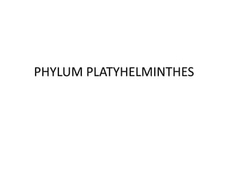 PHYLUM PLATYHELMINTHES
 