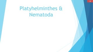 Platyhelminthes & 
Nematoda 
 