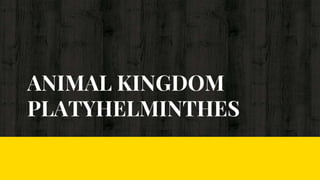 ANIMAL KINGDOM
PLATYHELMINTHES
 