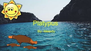 Platypus
By: Melody
 
