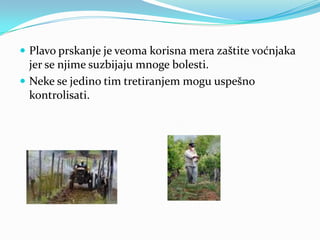  Plavo prskanje je veoma korisna mera zaštite voćnjaka

jer se njime suzbijaju mnoge bolesti.
 Neke se jedino tim tretiranjem mogu uspešno
kontrolisati.

 