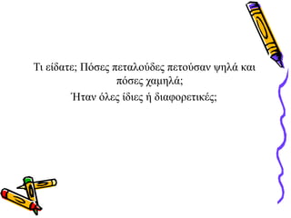 Τι είδατε; Πόσες πεταλούδες πετούσαν ψηλά και
πόσες χαμηλά;
Ήταν όλες ίδιες ή διαφορετικές;
 