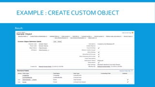 EXAMPLE : CREATE CUSTOM OBJECT
Result:
 