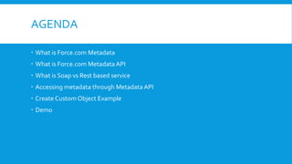 AGENDA
 What is Force.com Metadata
 What is Force.com Metadata API
 What is Soap vs Rest based service
 Accessing metadata through Metadata API
 Create Custom Object Example
 Demo
 