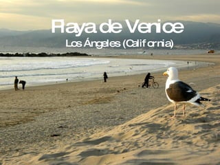 Playa de Venice Los Ángeles (California) 