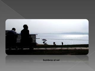 Sombras al sol
 