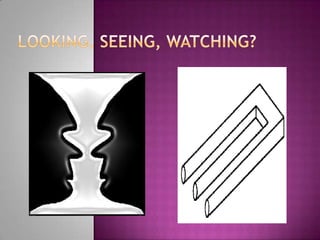 Looking, Seeing, Watching?